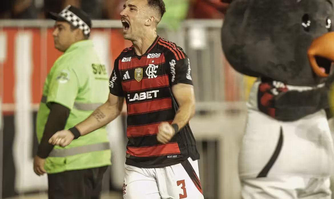 Flamengo vira novo líder do brasileiro
