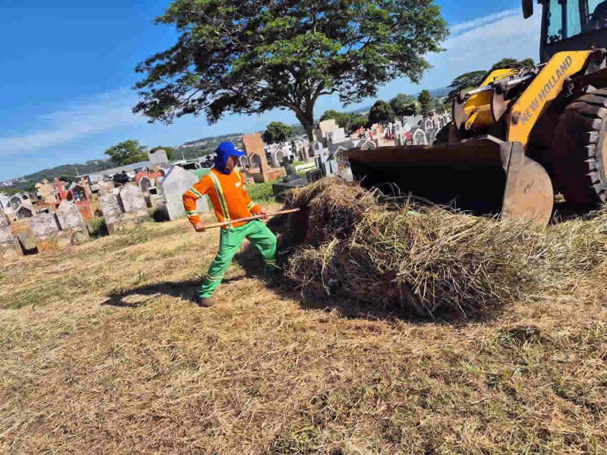 Cemitérios: Prefeitura de Goiânia retira 654 toneladas de resíduos