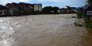 Fortes chuvas deixam 22 mortos em Minas Gerais; calamidade decretada 3 Chuvas