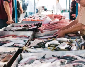 Pescados: Aparecida promove capacitação sanitária para o comércio de peixes