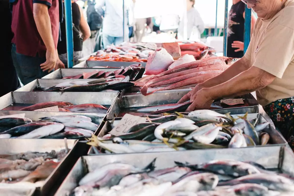Pescados: Aparecida promove capacitação sanitária para o comércio de peixes