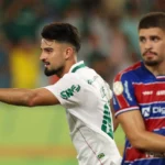 Palmeiras